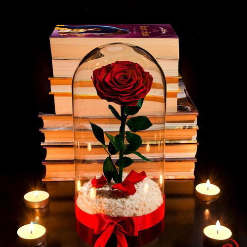 Red Eternal Rose in Large Glass Dome made to order