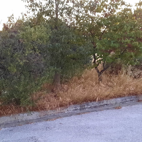 Land 1,500 m² in Drafi, corner plot, within city plan
