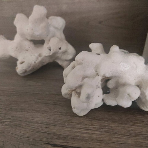 Natural coral and shells from Zanzibar made to order