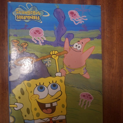 SpongeBob folder in good condition