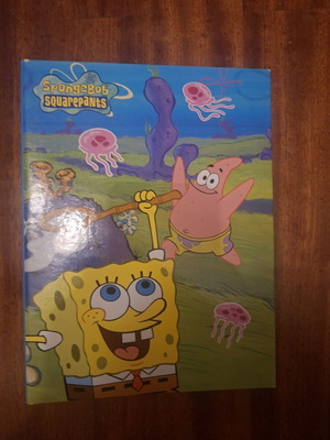 SpongeBob folder in good condition