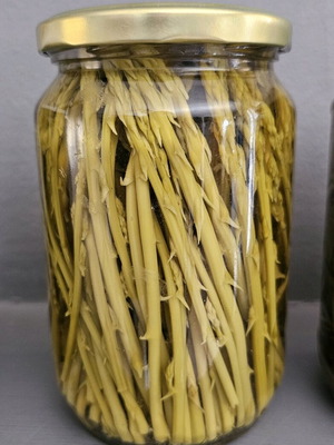 Wild asparagus and kritamo in jars new