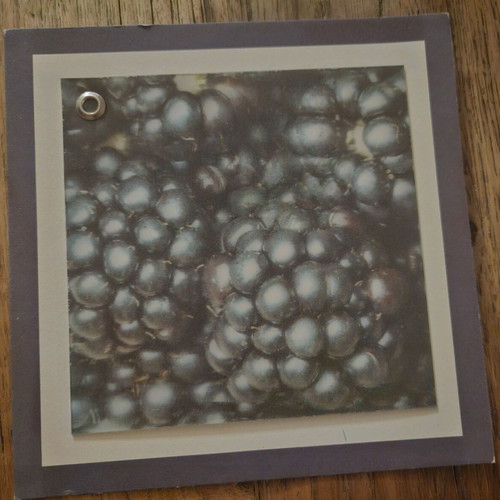 Greeting card 3D blackberries new