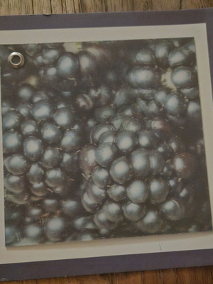 Greeting card 3D blackberries new