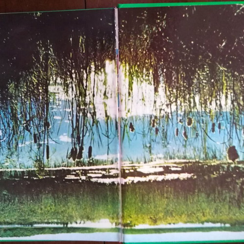 Walt Disney The Secrets of Animals book used, Greek