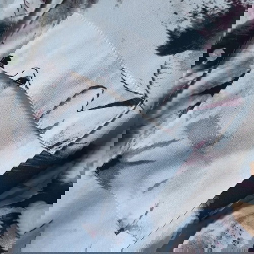 Calvin Klein Shirt New, Worn Once, White Red