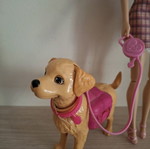 Barbie with dog like new