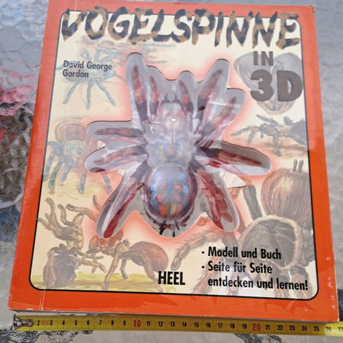 Σπάνιο Συλλεκτικό Βιβλίο Vogelspinne in 3D μεταχειρισμένο, David George Gordon