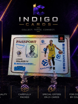 Lonnie Walker IV Stamped Passport basketball card like new