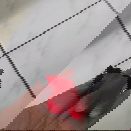 Σπιρτούλης