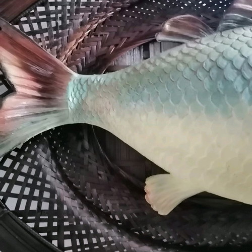 Wall fish used with handmade basket decorative