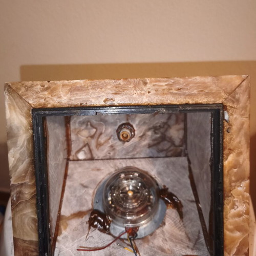 Vintage decorative old telephone