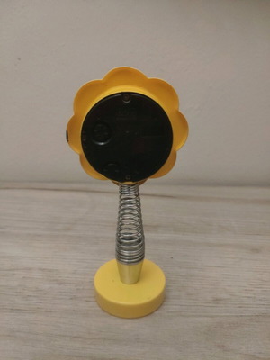 Watch with spring