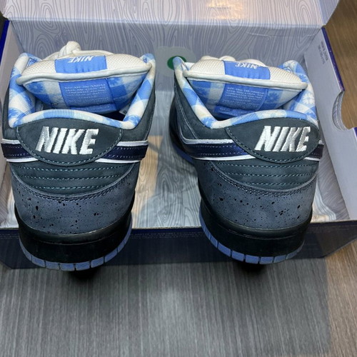 Nike SB Dunk Low Blue/Gray like new size 43 with box and extra laces