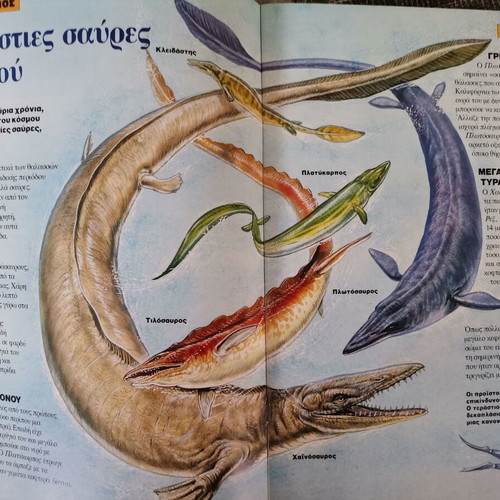 Dinosaur Magazines 30 Issues 1995 Like New with 3D Glasses