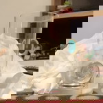  Σετ 6+6 Rosenthal κρυστάλλινα ποτήρια