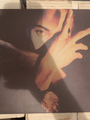 Terence Trent D'Arby Neither Fish Nor Flesh LP βινύλιο 1989