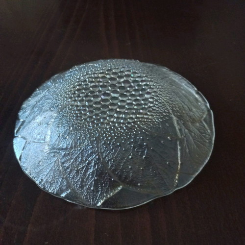 Serving plate new with zagre and various shades