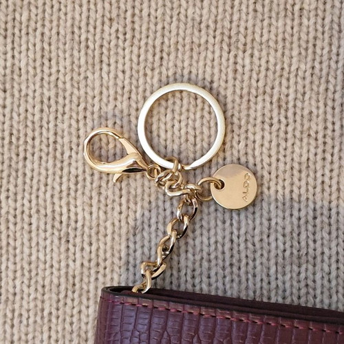 Aldo envelope bag new red and purple