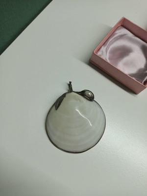 Shell pendant jewelry like new