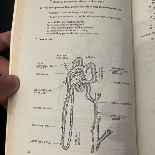 Nucleus English for Science and Technology Medicine by Tony O'Brien like new