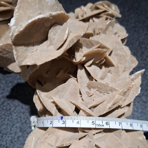 Desert Rose Collection (2 Rare Mineral Pieces - 1.16kg Total)