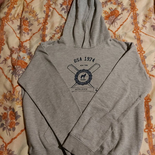 GSA kids hoodie gray like new, size 140 cm