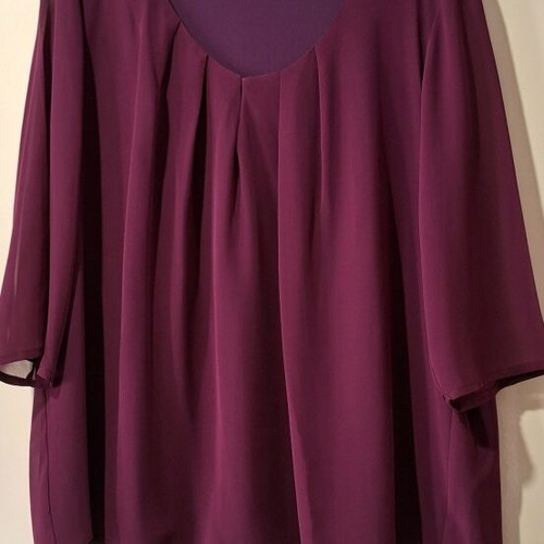 Lynne Blouse with Sheer Sleeves like New, Purple, Size L