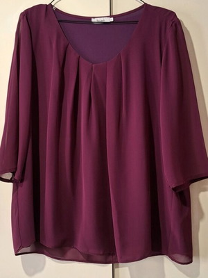 Lynne Blouse with Sheer Sleeves like New, Purple, Size L