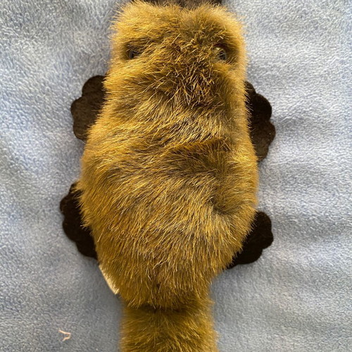 Plush Platypus Toy new in gift tin from Australia