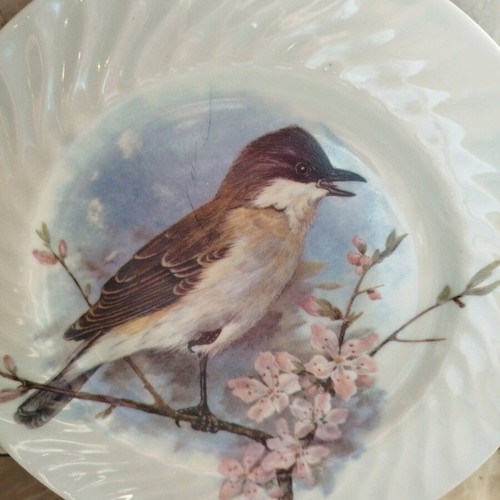 Vintage wall plate used in pink and sky blue tones