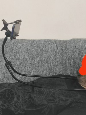 Mobile Phone Holder Arm new