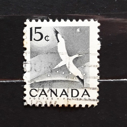 Canada 1954 15c Wildlife Gannet stamp like new