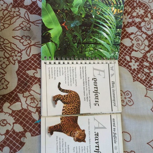 The Zoo Animals Like New