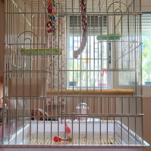 Birdcage white with two feeders and one separate waterer like new