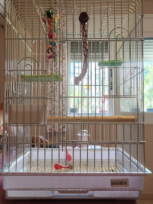 Birdcage white with two feeders and one separate waterer like new