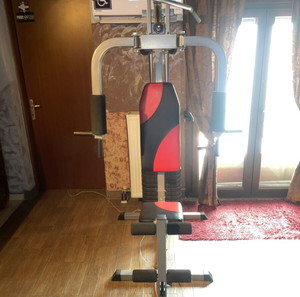 πολυόργανο με βάρη επαγγελματικό