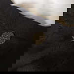 Ново бяло топ с открити рамене BSB, 100% памук, размер Small