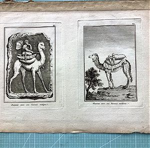 1790 Χαλκογραφία καμήλας από εμπορικό καραβάνι τόσο αρχαίας εποχής όσο και μοντέρνας εποχής 34x27cm