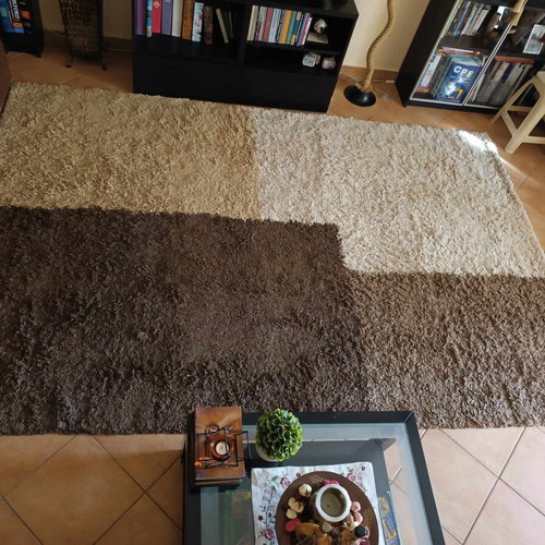 Biocarpet rug 3x2 like new in brown-beige-ecru shades