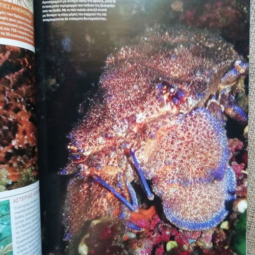Explore Nature magazine issue 15 June 2009 like new, Crete feature