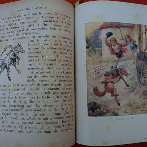 Nelson La Comédie Animale used book with lithographs