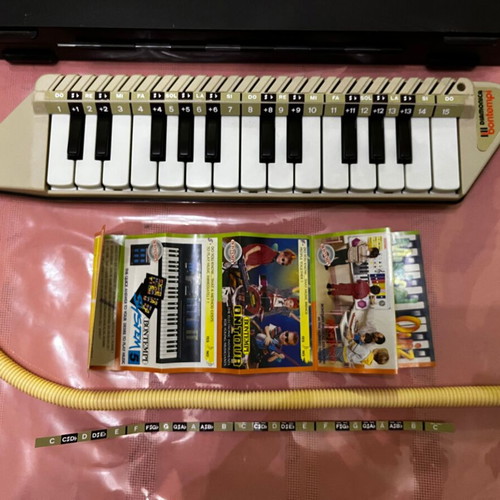 Bontempi Melodica like new with case and accessories