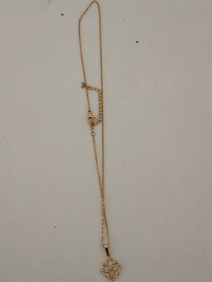 Fo Bizou necklace new gold-colored