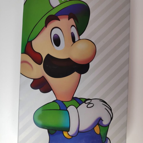 Mario & Luigi Brotherhood Steelbook for Nintendo Switch like new