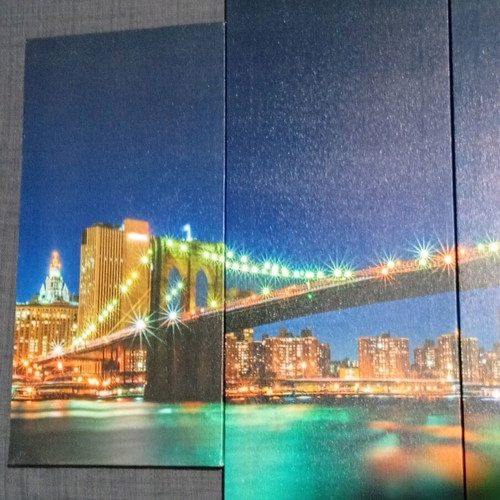 5 Piece Canvas Picture Like New