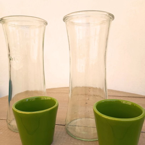 Self-Watering Plant Vases by Nature & Découvertes used