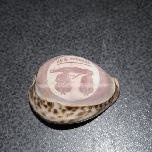 Tiger Cowrie shell used, handcarved Gemini zodiac decoration