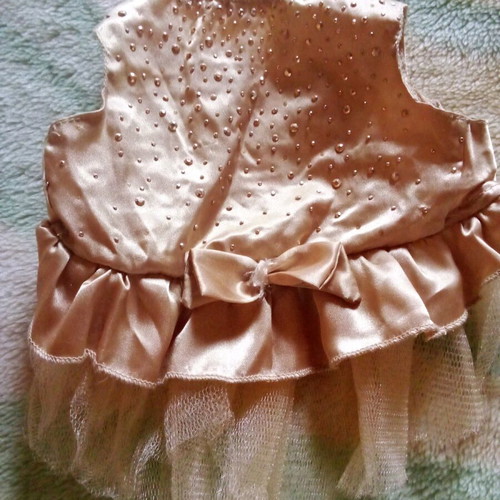 Dress for small dog like new