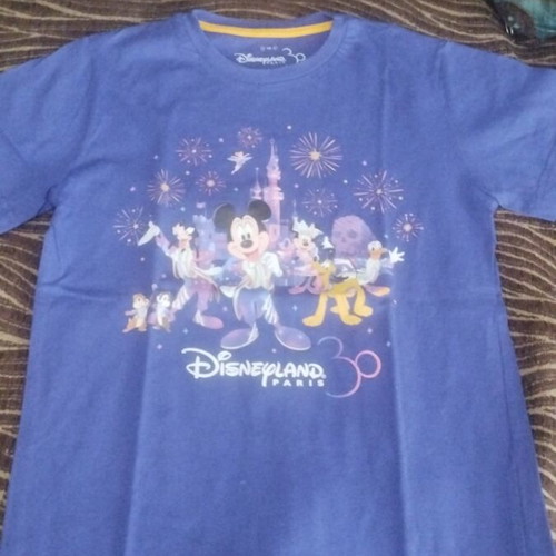 Disney T-shirt for girl 12 years old, used, blue